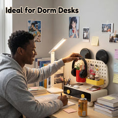 Desktop storage box and shelf,  for organizing keys and miscellaneous items in the entryway,cute and stylish, office desk, dormi