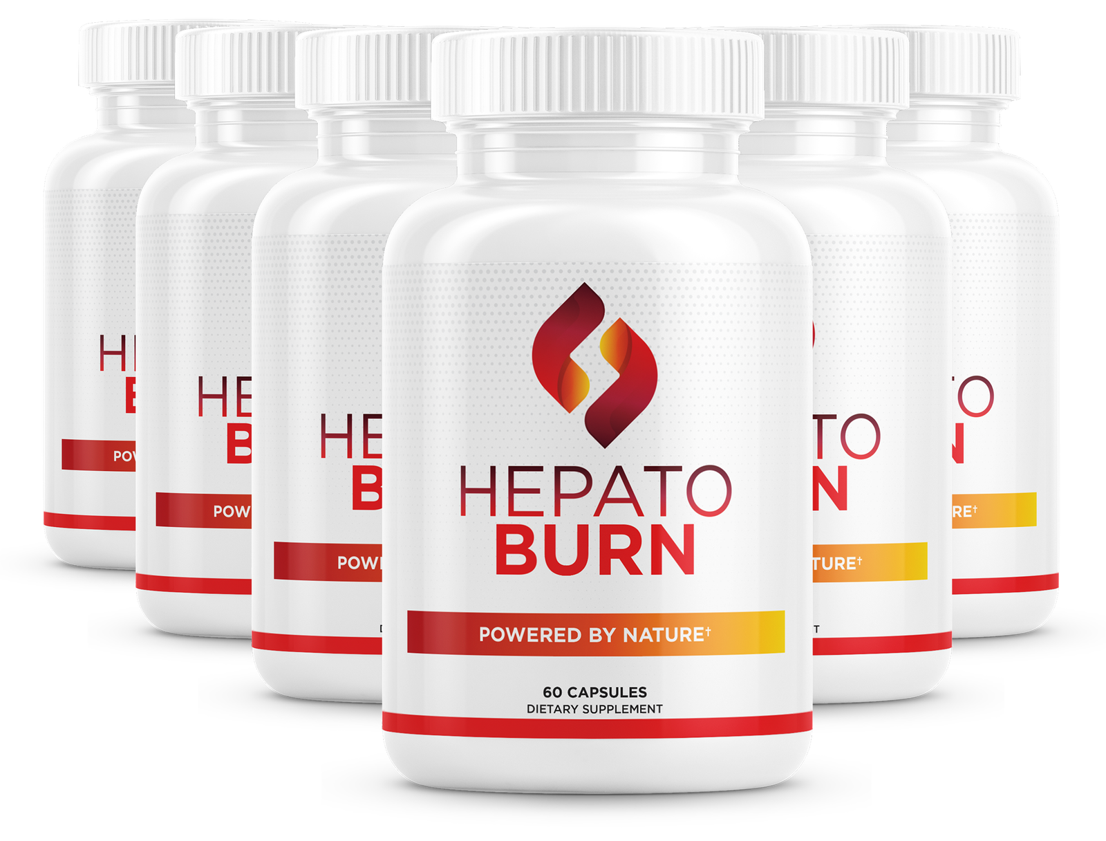 6 Bottles of HepatoBurn